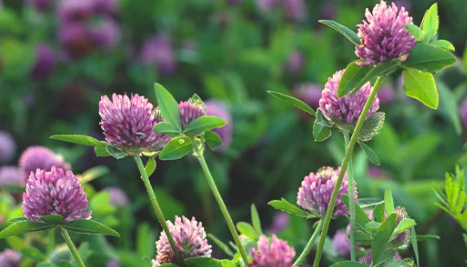 1696523259847.png 1696523259847.png