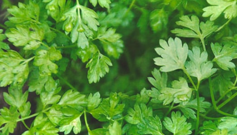 1696523281894.png 1696523281894.png