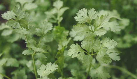 1696523387745.png 1696523387745.png