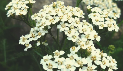 1696523458137.png 1696523458137.png