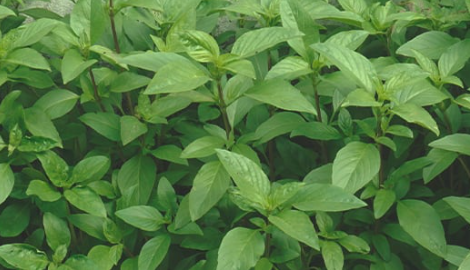 1696523537942.png 1696523537942.png