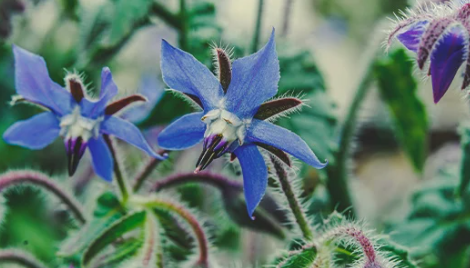 1696523560799.png 1696523560799.png