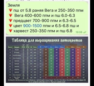 Screenshot_20220804-194933_Browser.jpg Screenshot_20220804-194933_Browser.jpg