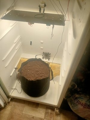 IMG20231012204823.jpg IMG20231012204823.jpg