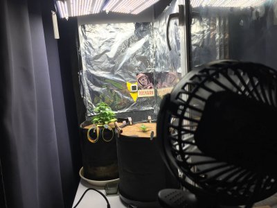 photo_2023-10-14_08-56-05.jpg photo_2023-10-14_08-56-05.jpg