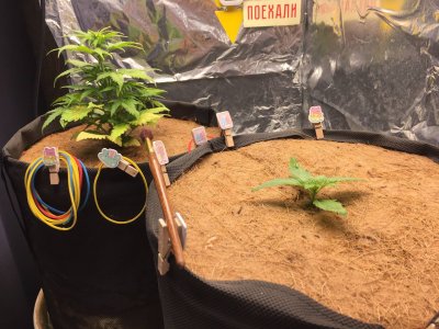 photo_2023-10-14_08-55-51.jpg photo_2023-10-14_08-55-51.jpg