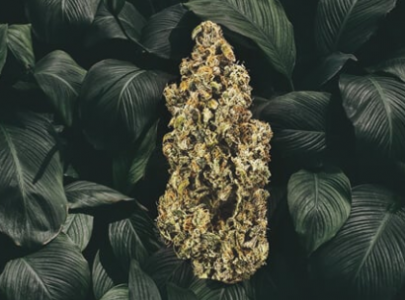 1697734263235.png 1697734263235.png