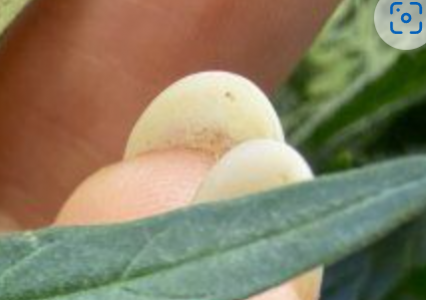 1698722900883.png 1698722900883.png