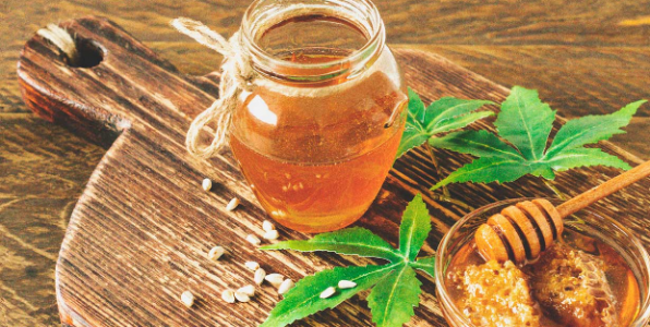 1698773845065.png 1698773845065.png