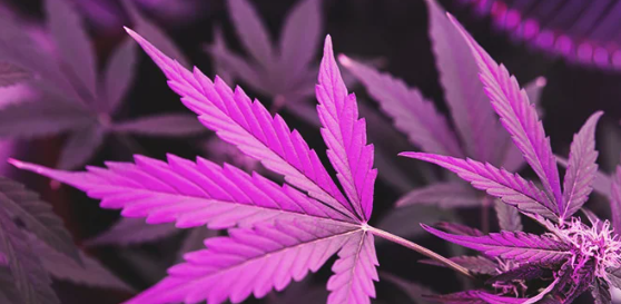 1698854142336.png 1698854142336.png