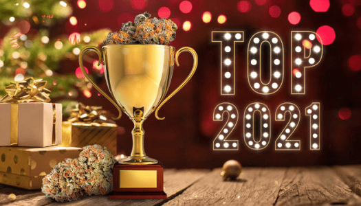 1641747790508.png 1641747790508.png