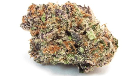 gelonade.jpg gelonade.jpg