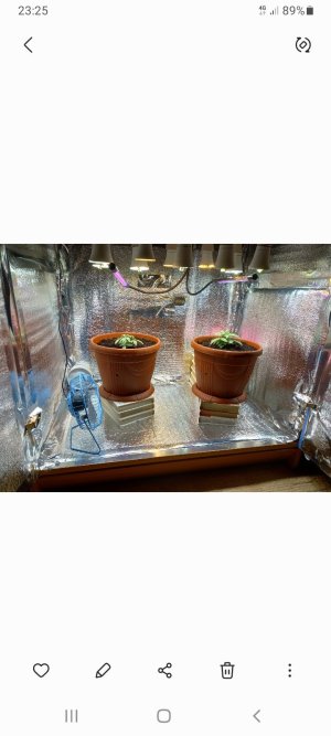 Screenshot_20220112-232514_Gallery.jpg Screenshot_20220112-232514_Gallery.jpg