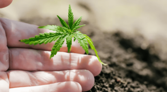 1642080860348.png 1642080860348.png