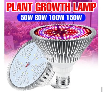 IMG_20220120_023055.jpg IMG_20220120_023055.jpg