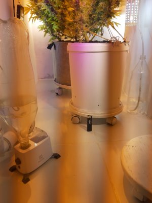 20220122_200100.jpg 20220122_200100.jpg