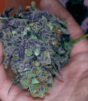 1643210654463.png 1643210654463.png