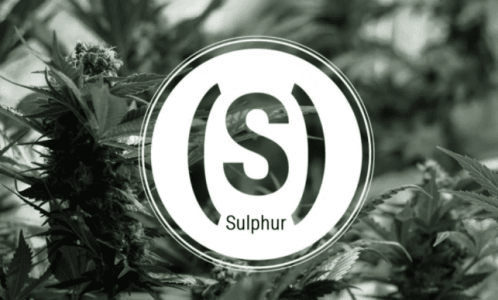 1643559338003.png 1643559338003.png