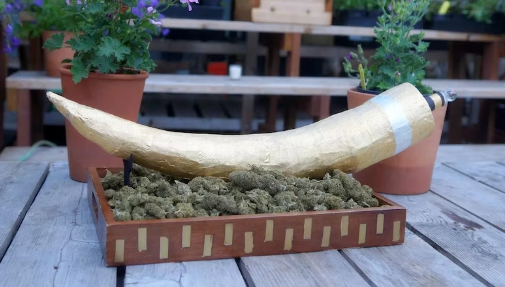 1700394871935.png 1700394871935.png