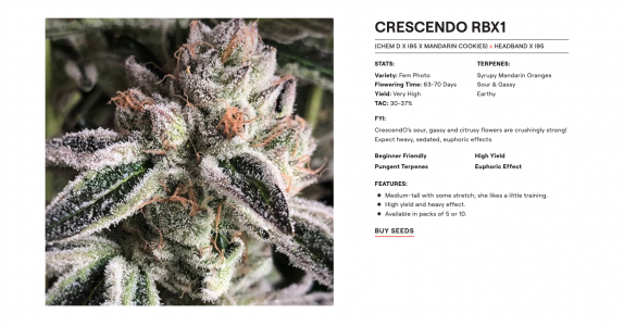 CleanShot 2023-11-25 at 21.47.39.png