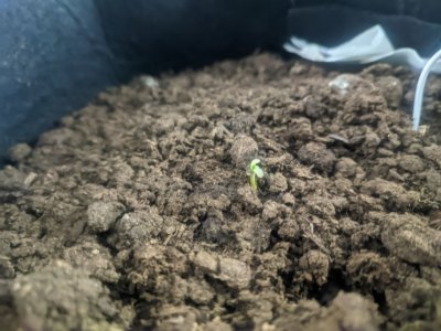 photo_2023-11-28_18-12-35 (2).jpg