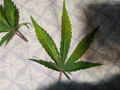 IMG20231202140953.jpg IMG20231202140953.jpg