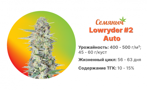 Lowryder 2 Lowryder 2