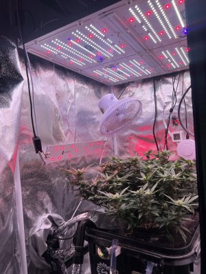 IMG_3884.jpeg IMG_3884.jpeg