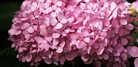 1702402822517.png 1702402822517.png