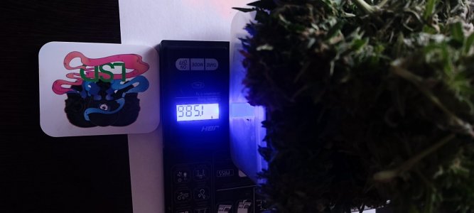 IMG_20231215_115505.jpg IMG_20231215_115505.jpg