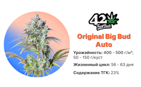 Original Big Bud Auto