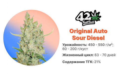 Original Auto Sour Diesel