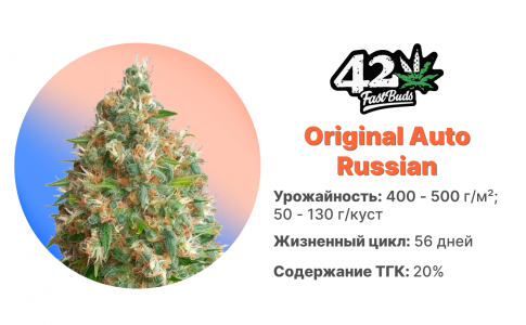 Original Auto Russian