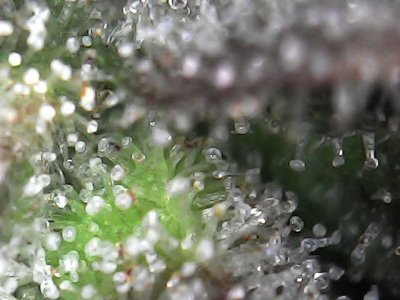 Photo_2023-12-20 17_25_08_491.JPG