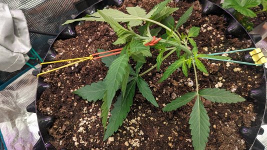 1703975854670.jpeg 1703975854670.jpeg