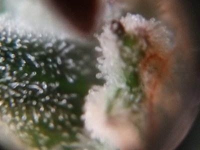 IMG-20231231-WA0010.jpg IMG-20231231-WA0010.jpg