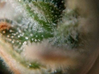 IMG-20231231-WA0011.jpg IMG-20231231-WA0011.jpg