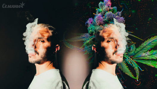 Факторы, влияющие на характер и силу эффекта конопли Факторы, влияющие на характер и силу эффекта конопли