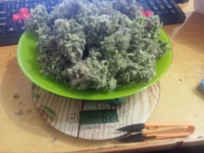 IMG20240112171056.jpg IMG20240112171056.jpg