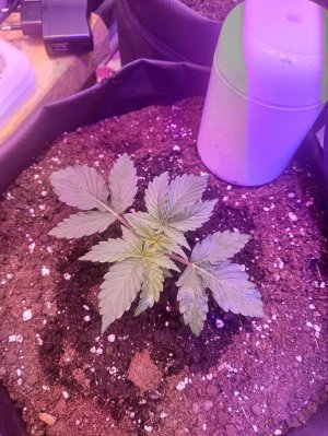 photo1705325252 (2).jpeg