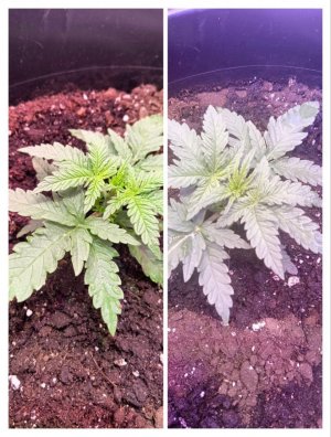 photo1705325252 (5).jpeg