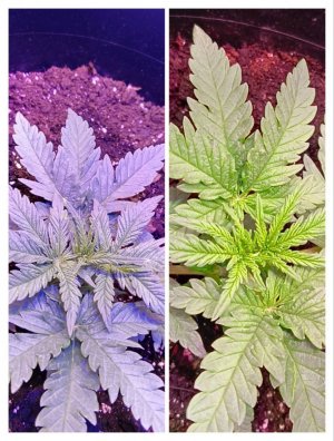 photo1705326104 (4).jpeg