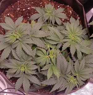 photo1705326711 (2).jpeg