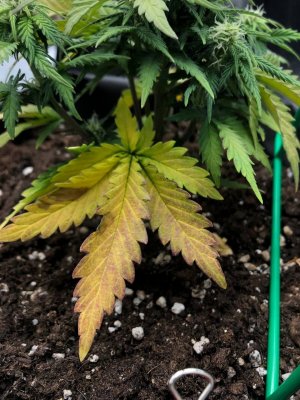 2024-01-16 22.28.32.jpg