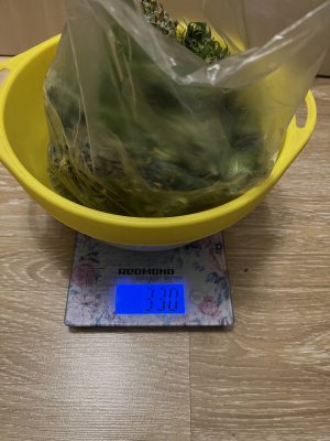 IMG_5026.jpeg IMG_5026.jpeg