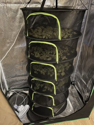 IMG_5028.jpeg IMG_5028.jpeg