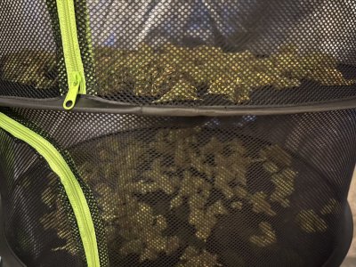 IMG_5029.jpeg IMG_5029.jpeg