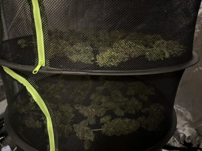 IMG_5030.jpeg IMG_5030.jpeg