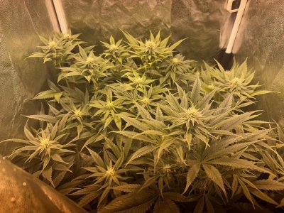 image-02-02-24-20-59 (1).jpg