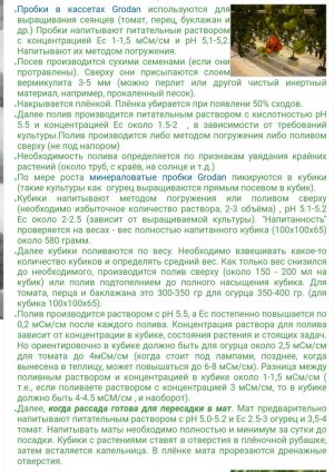 IMG_20240215_132920.jpg IMG_20240215_132920.jpg